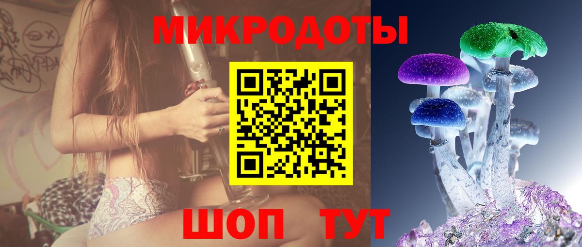 Псилоцибиновые грибы мухоморы Советская Гавань